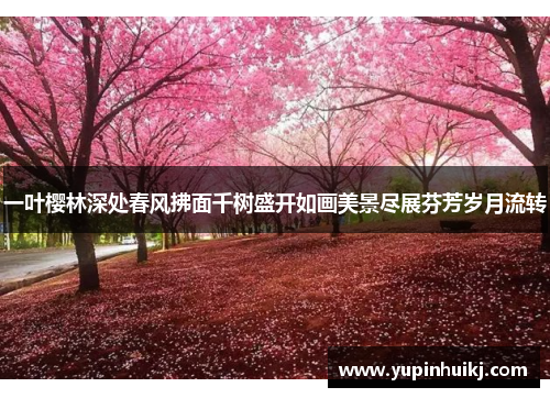 一叶樱林深处春风拂面千树盛开如画美景尽展芬芳岁月流转